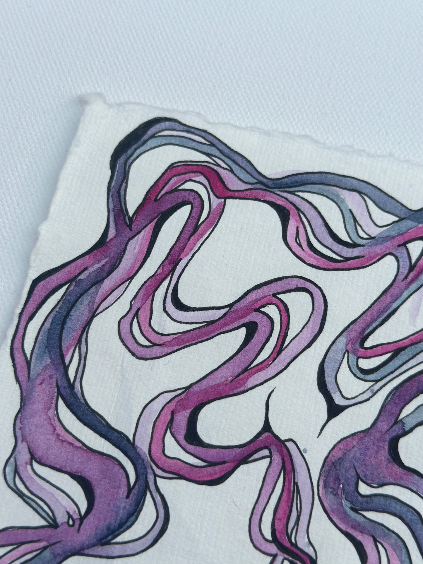 Laffey Taffy -An Original Watercolor Study on Paper in Acrylic Frame