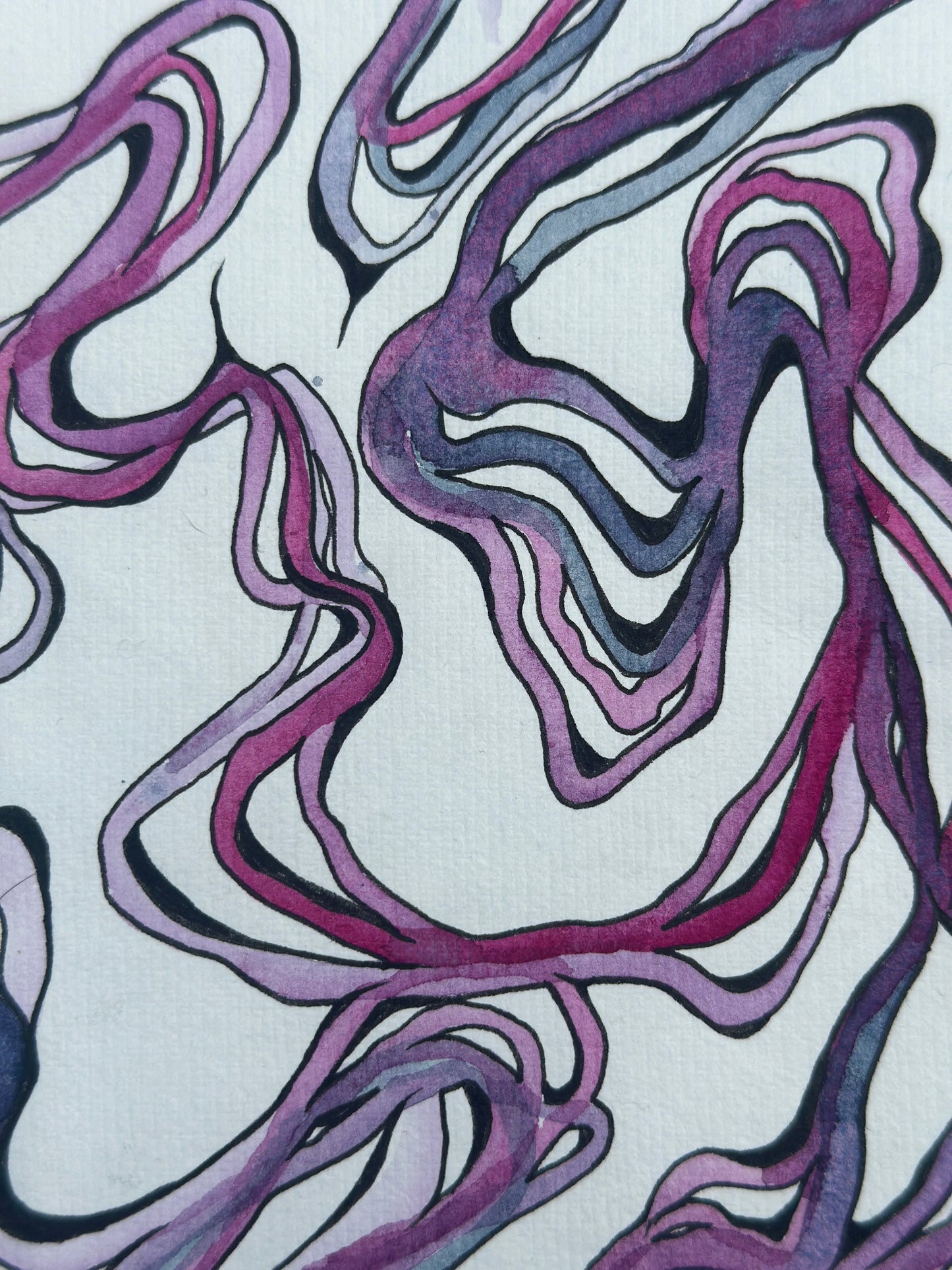 Laffey Taffy -An Original Watercolor Study on Paper in Acrylic Frame