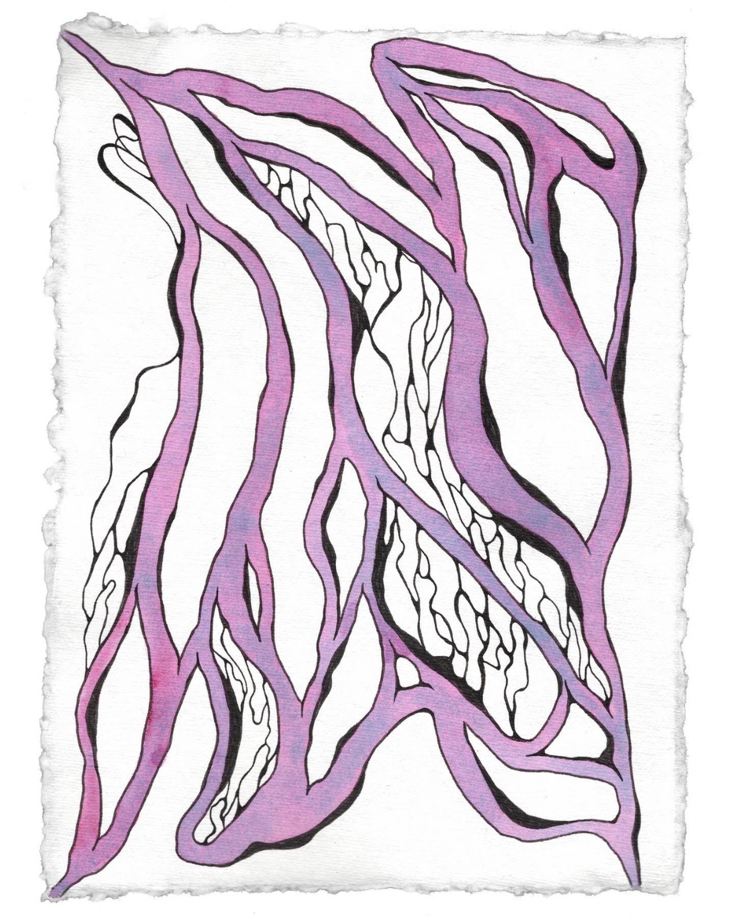 "ΕΥΧΑΡΙΣΤΗΑ ΥΙΑ ΤΗΝ ΓΗ - GRATITUDE FOR THE EARTH" Giclée Fine Art Print