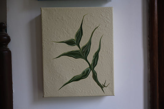 Olive Branch