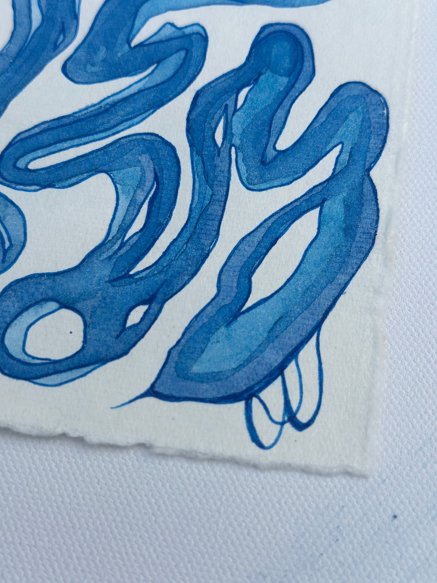 Watercolor Studies