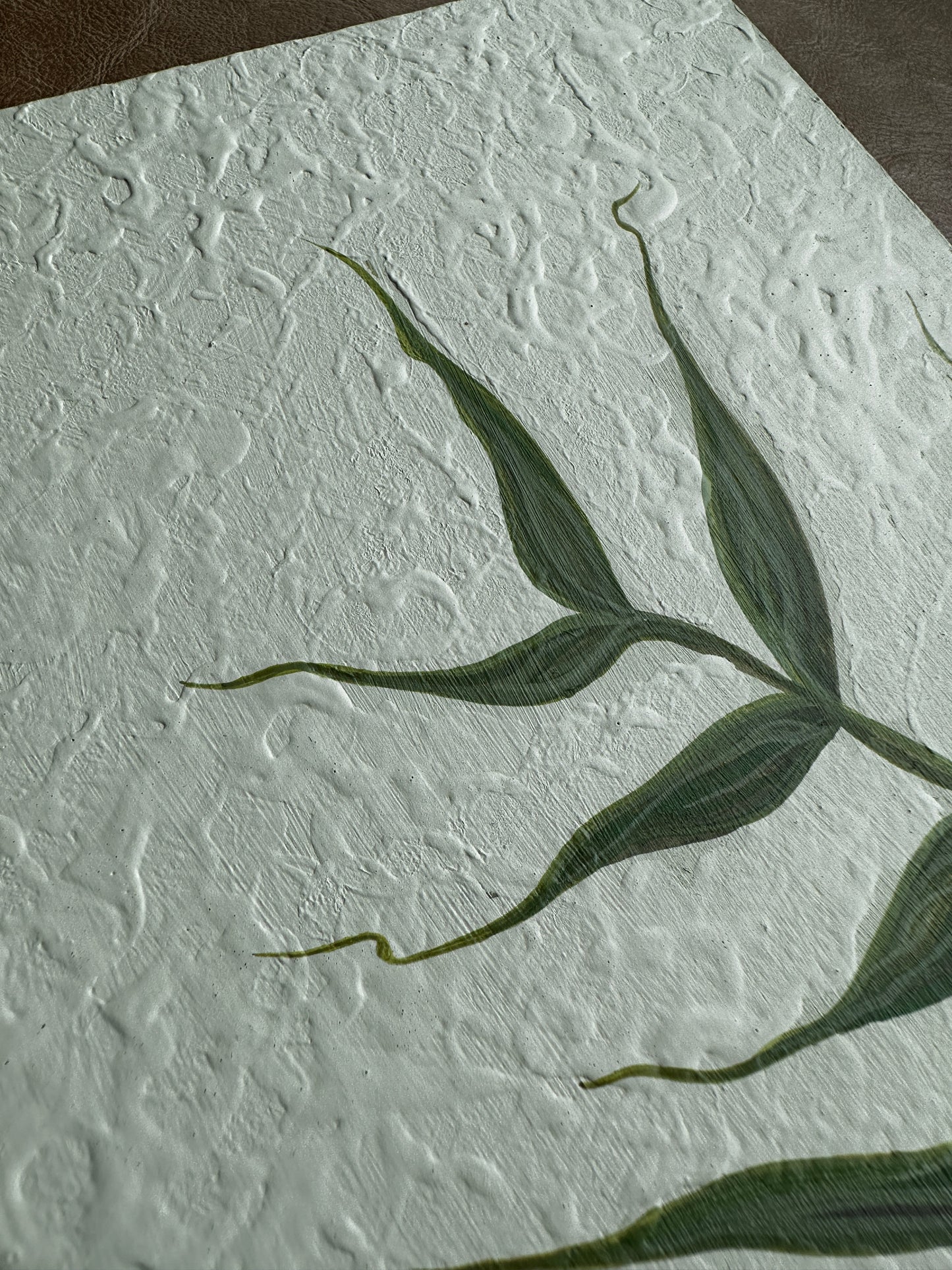 Olive Branch no. 2