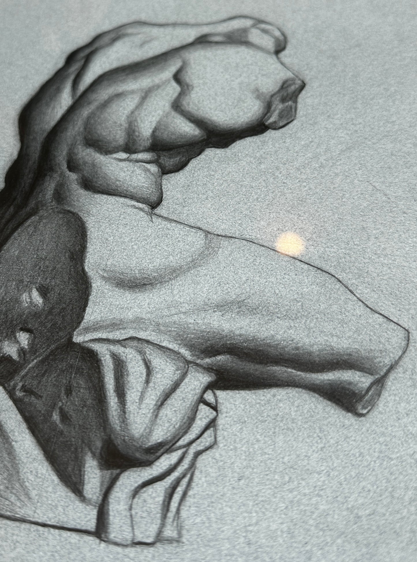 Belvedere Torso By Theodora Pavlou